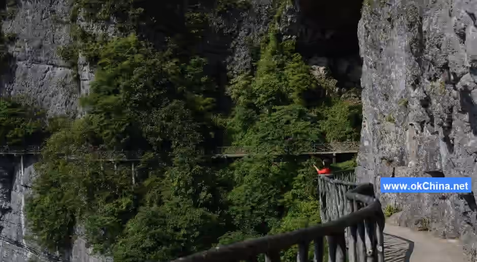 Jinfo Mountain Scenic Area