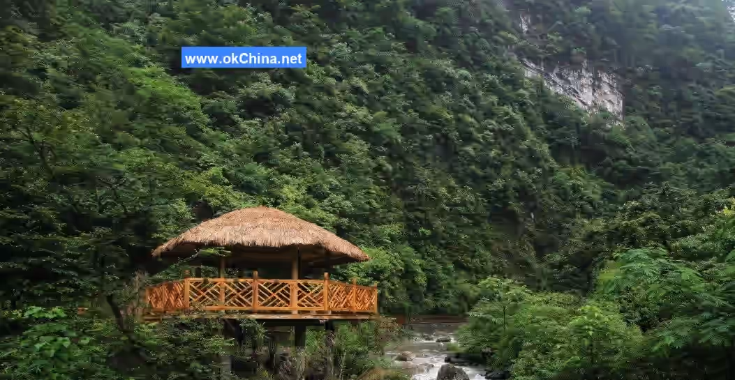 Jinfo Mountain Scenic Area