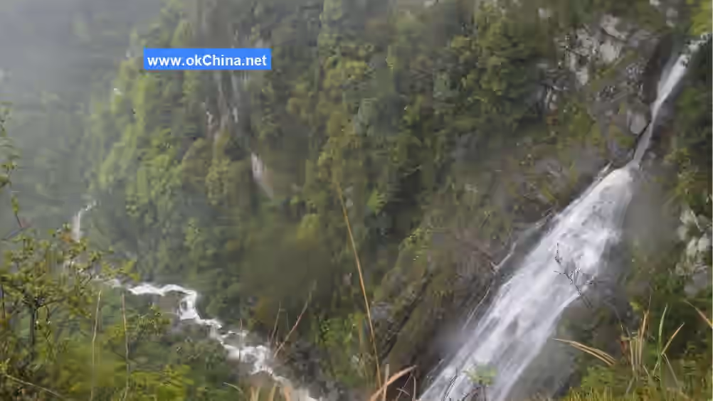 Jinfo Mountain Scenic Area