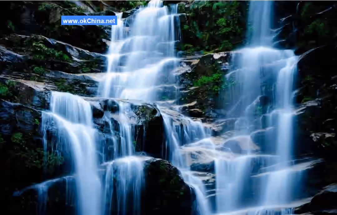 Wuyi Mountain Scenic Area
