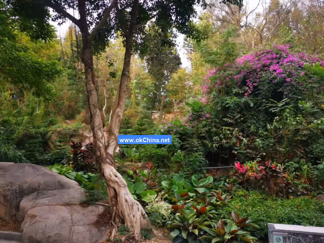 Xiamen Botanical Garden Scenic Area