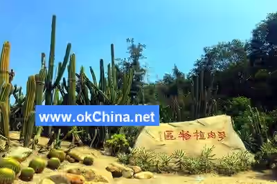 Xiamen Botanical Garden Scenic Area