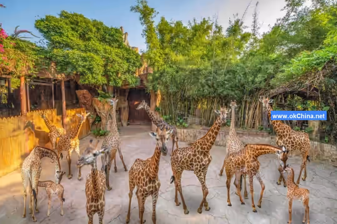 Chuanlord Tourism And Leisure Expo Garden