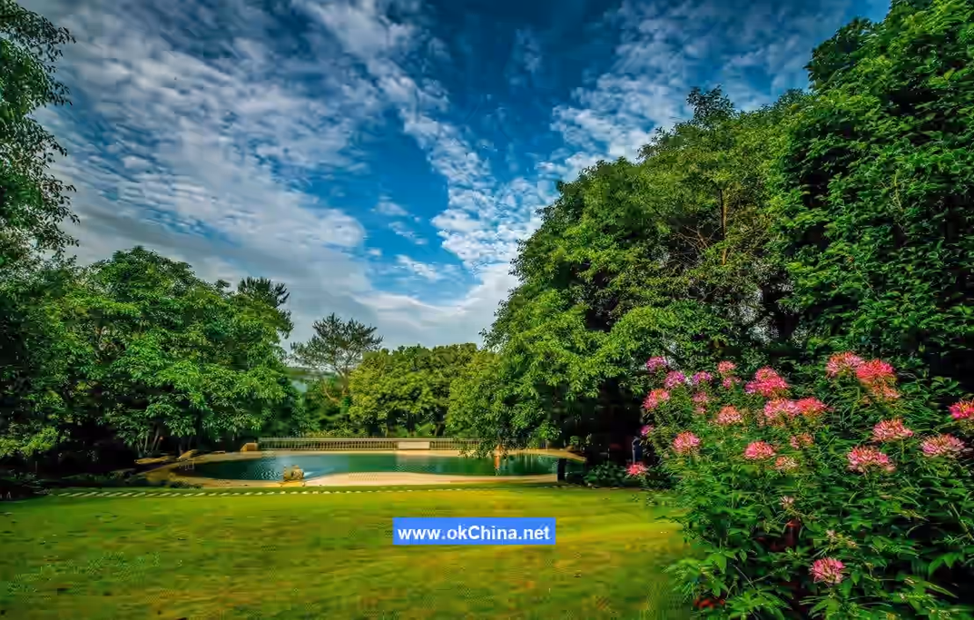 Yannanfei Tea Plantation Scenic Area