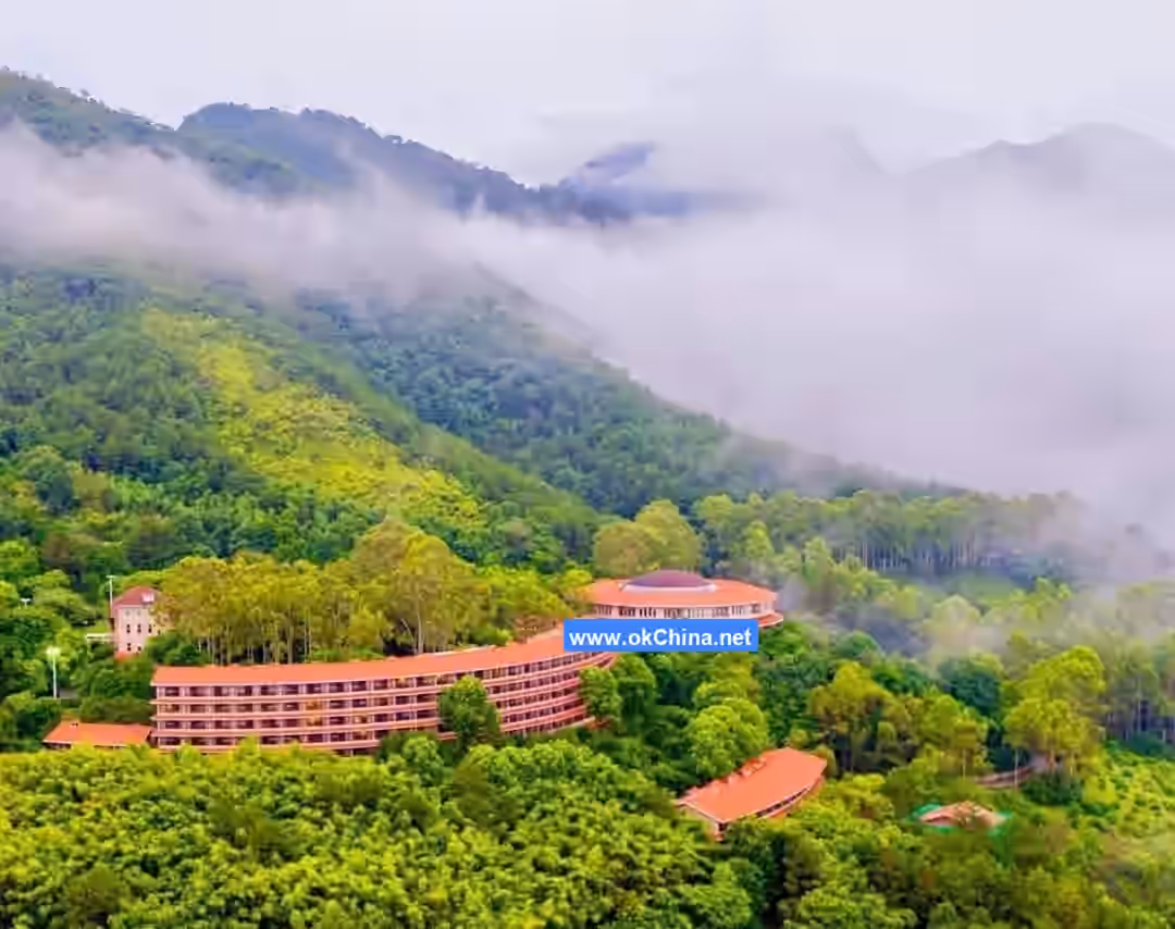 Yannanfei Tea Plantation Scenic Area