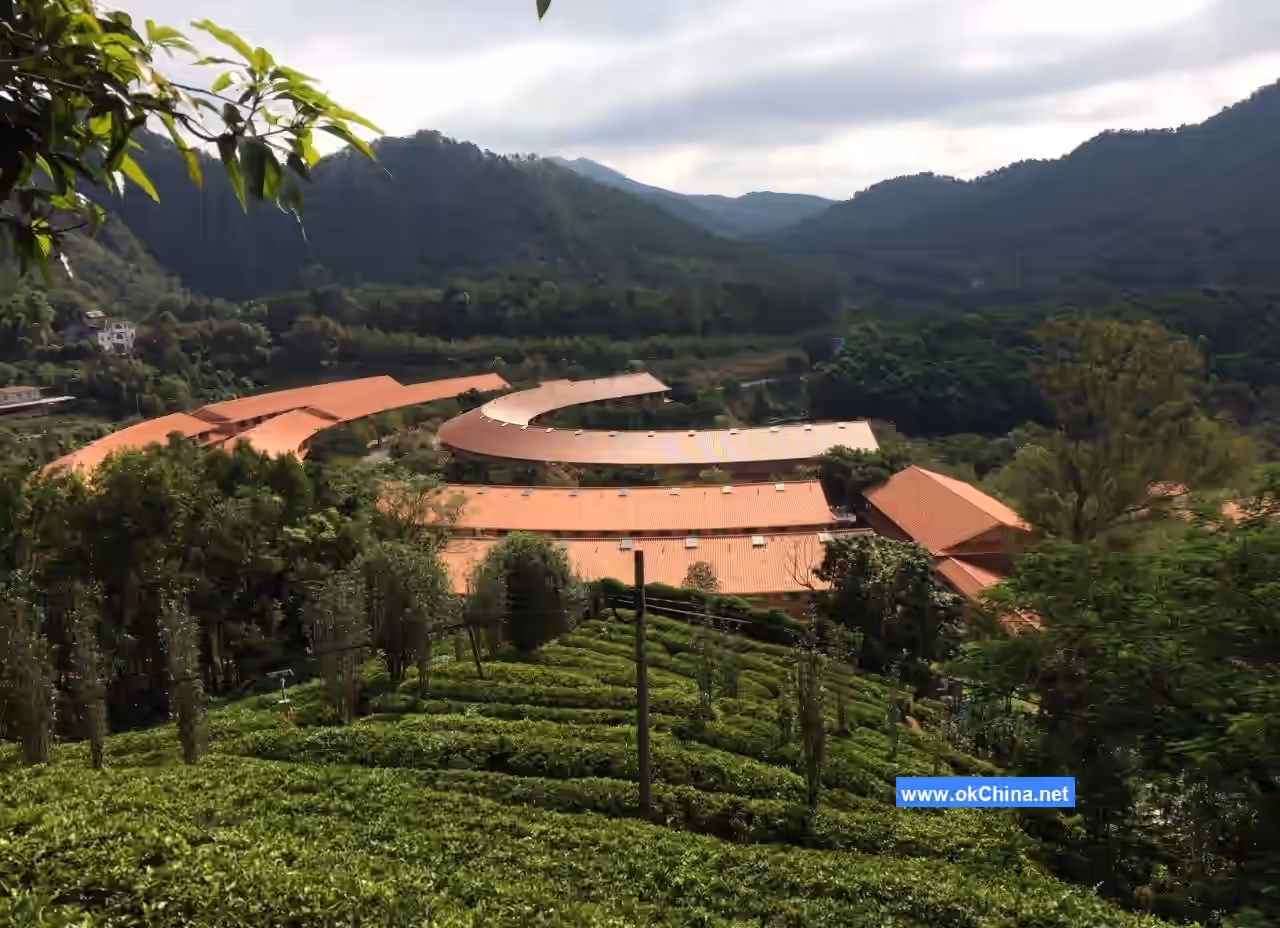 Yannanfei Tea Plantation Scenic Area