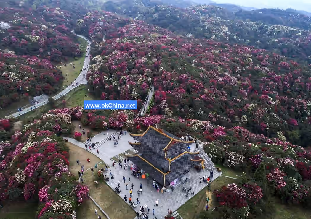 Bai Li Dujuan Scenic Area