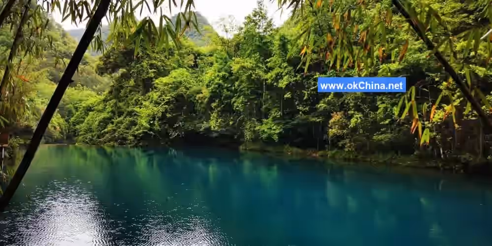 Zhangjiang Scenic Area