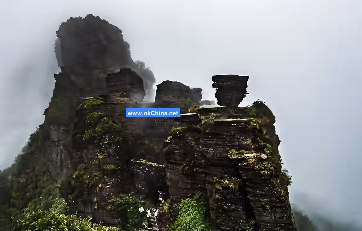 Fanjing Mountain Tourist Area