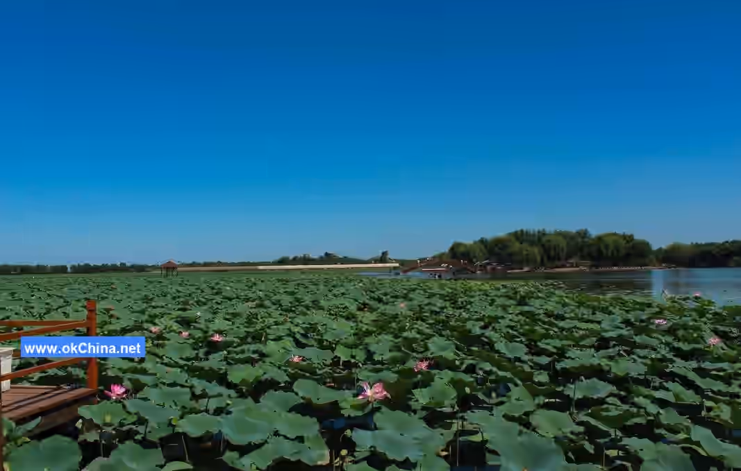 Baiyang Lake Scenic Area