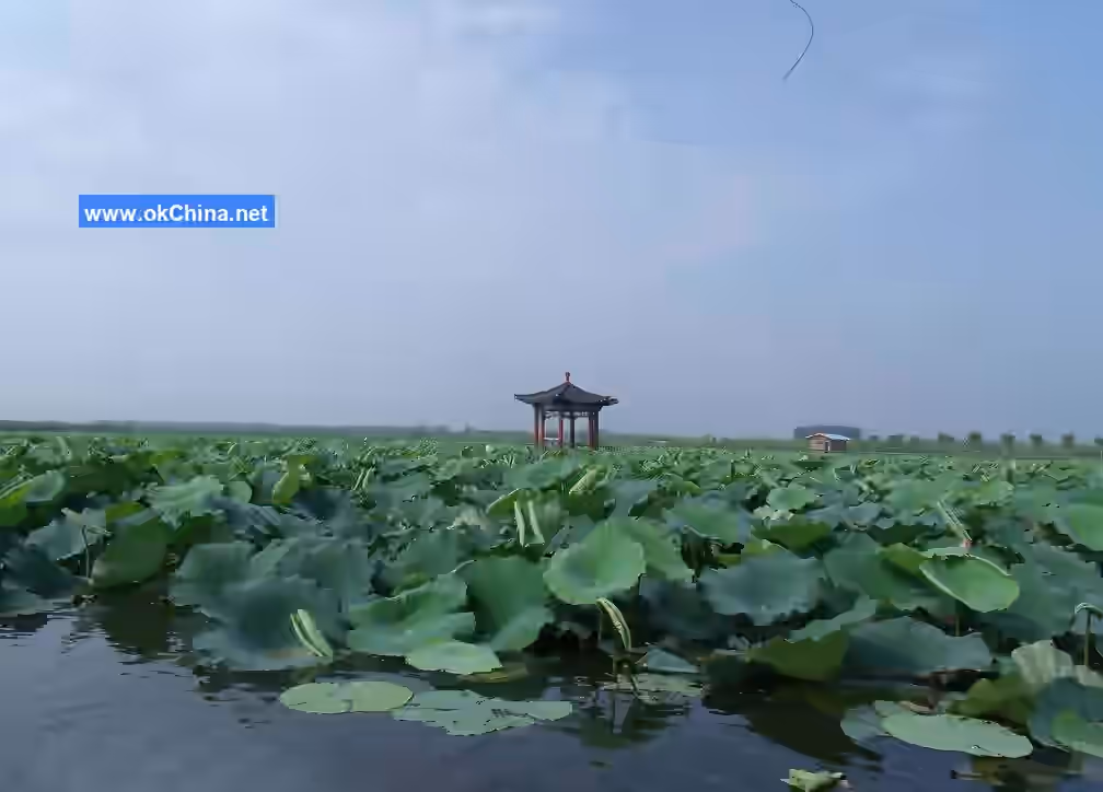 Baiyang Lake Scenic Area