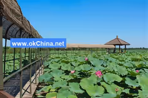 Baiyang Lake Scenic Area