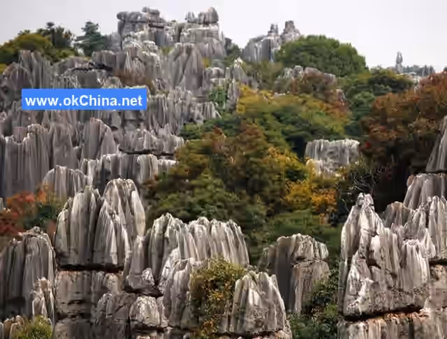 Linhai Strange Stone Scenic Area