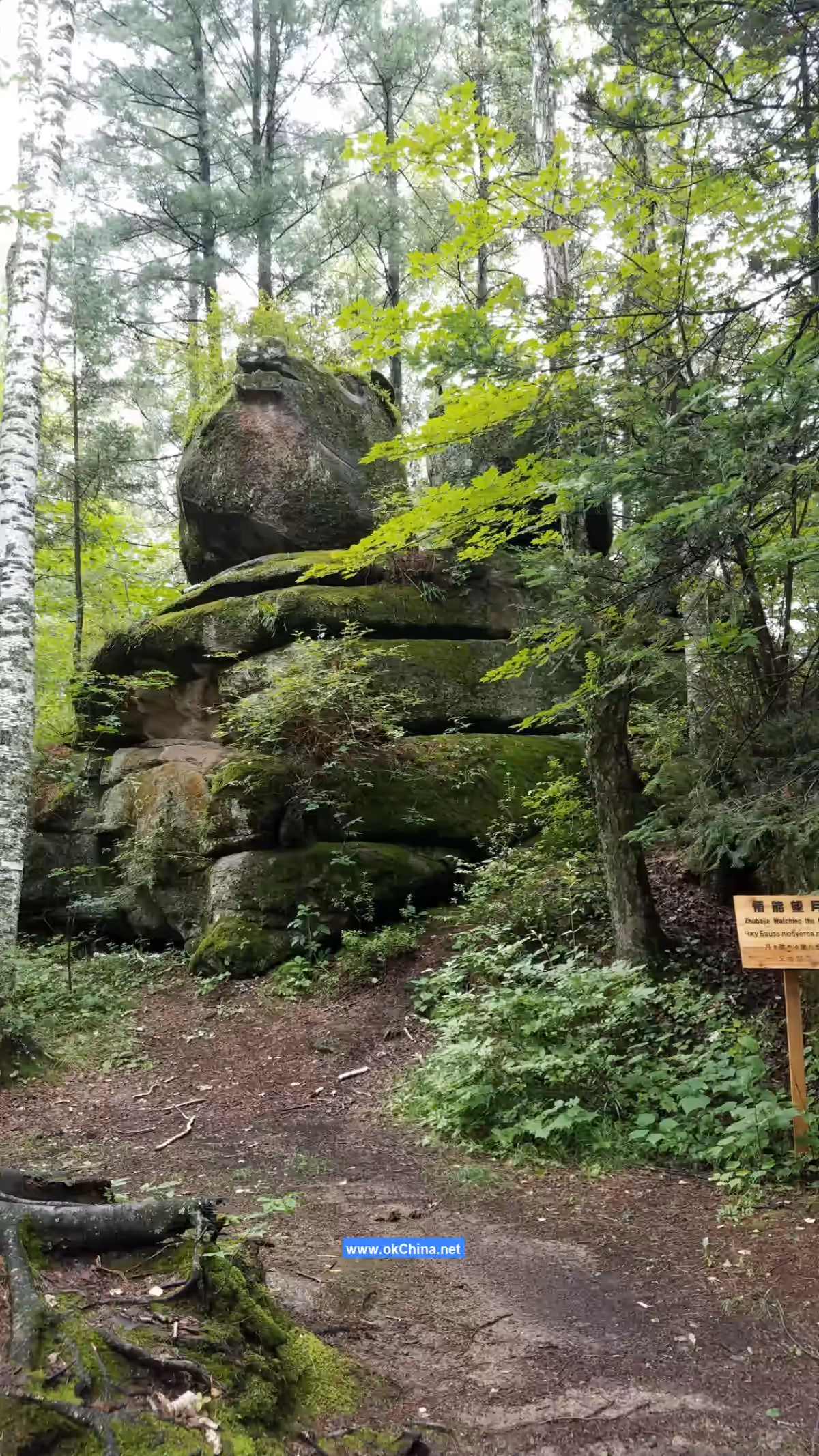 Linhai Strange Stone Scenic Area