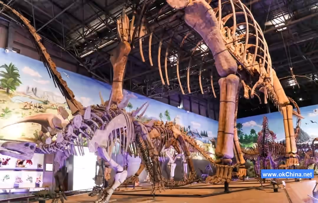 Xixia Dinosaur Relics Park And Funiu Mountain And Laojieling Tourist Area