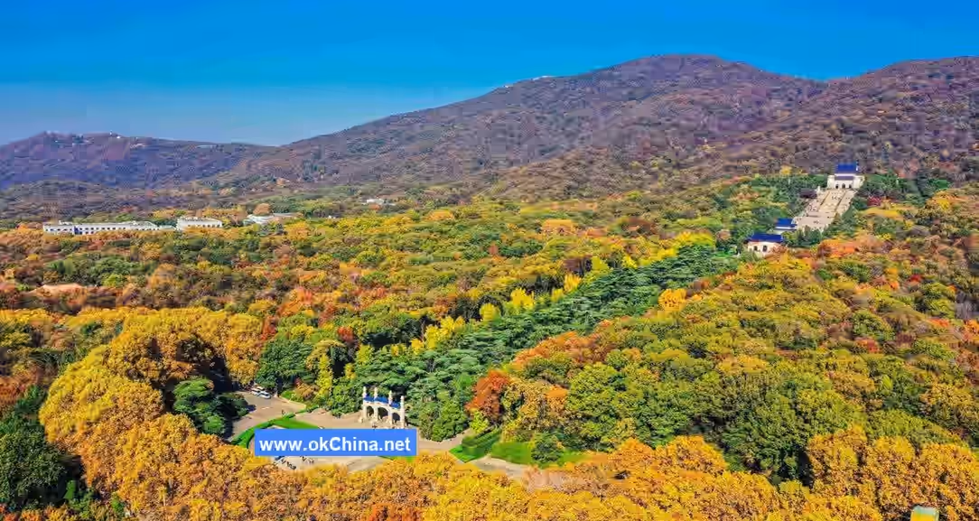 Sun YatSen Mausoleum Scenic Area And Zhongshan Scenic Area