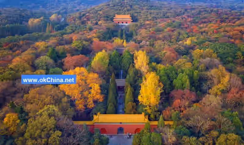Sun YatSen Mausoleum Scenic Area And Zhongshan Scenic Area