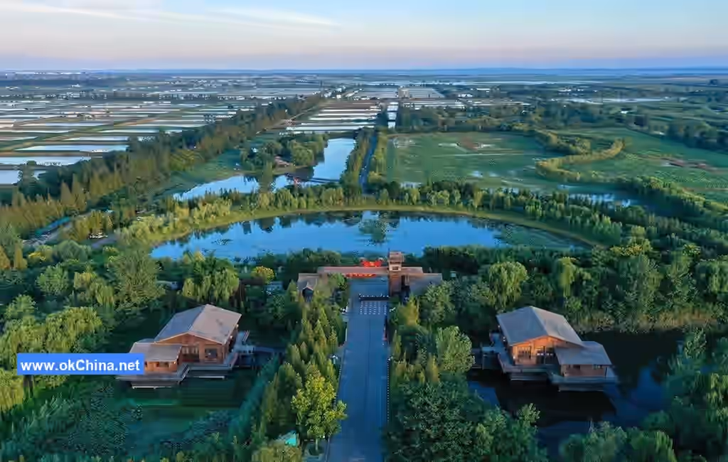 Hongze Lake Wetland Scenic Area