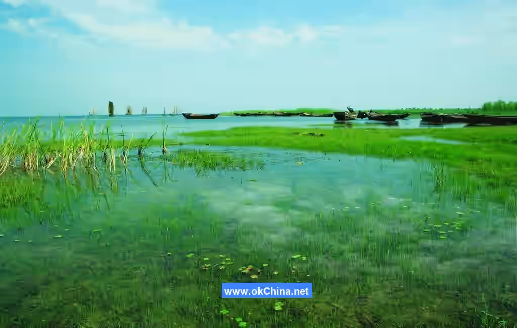 Hongze Lake Wetland Scenic Area