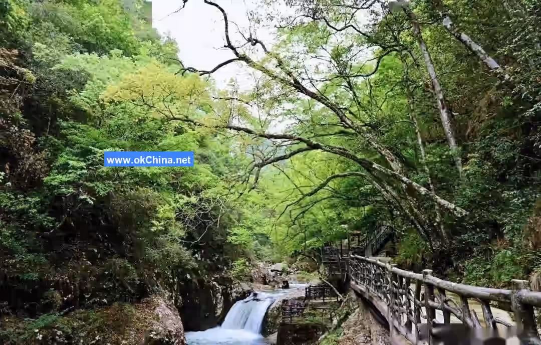 Sanbai Mountain Scenic Area