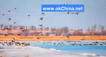 Qianguo Chagan Lake Scenic Area