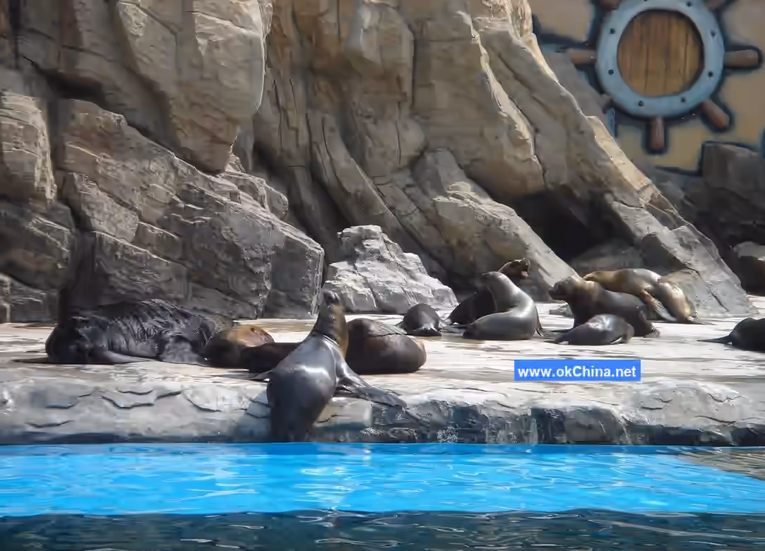 Tiger Beach Ocean Park And Tiger Beach Polar Aquarium