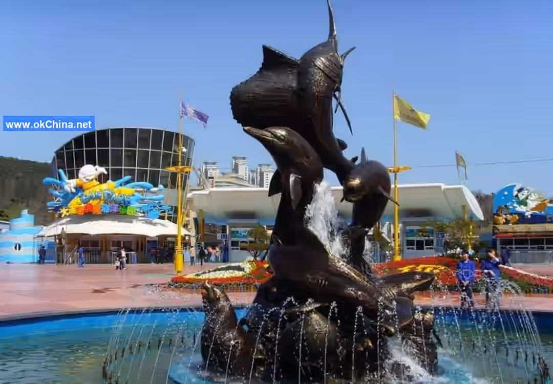 Tiger Beach Ocean Park And Tiger Beach Polar Aquarium