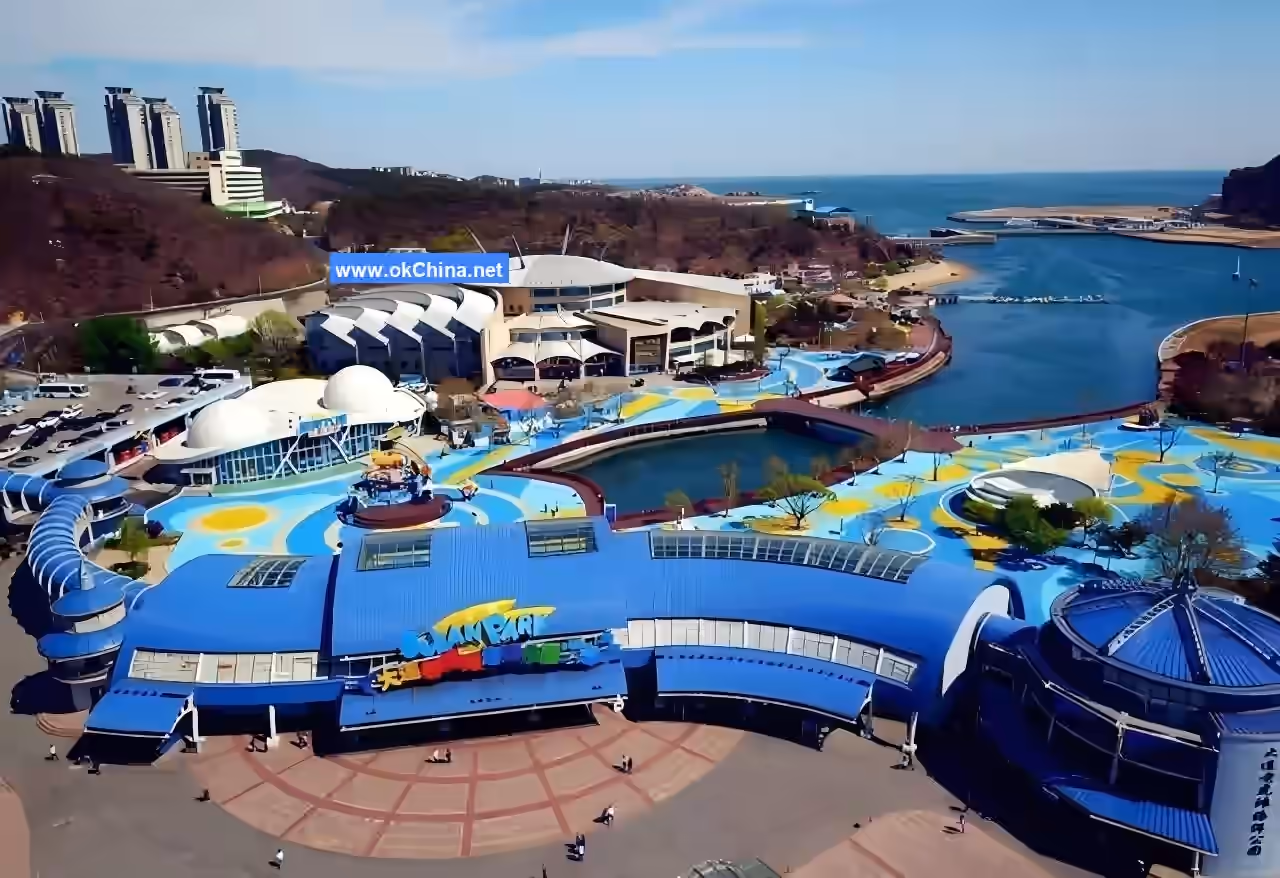 Tiger Beach Ocean Park And Tiger Beach Polar Aquarium