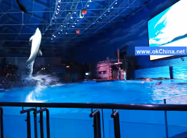 Tiger Beach Ocean Park And Tiger Beach Polar Aquarium