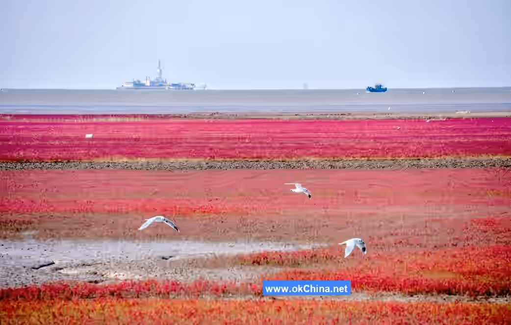 Red Beach Scenic Corridor