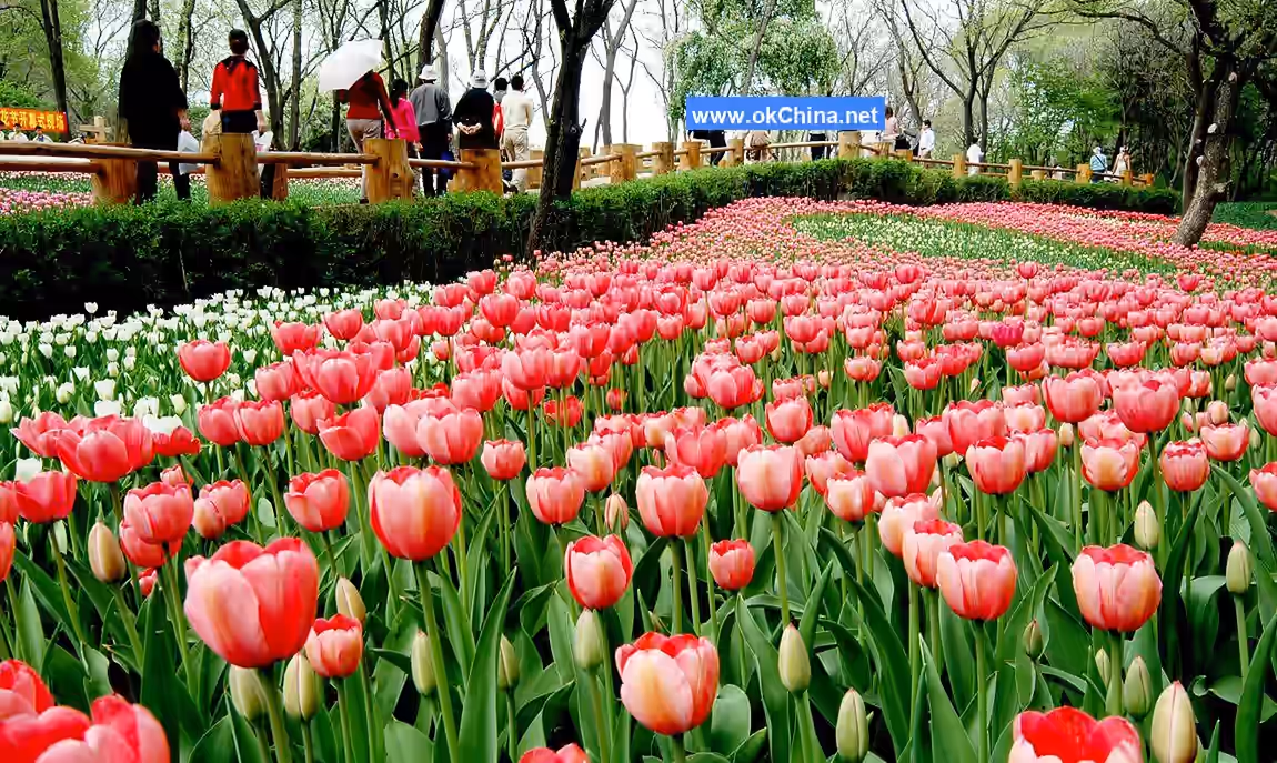 Shenyang Botanical Garden