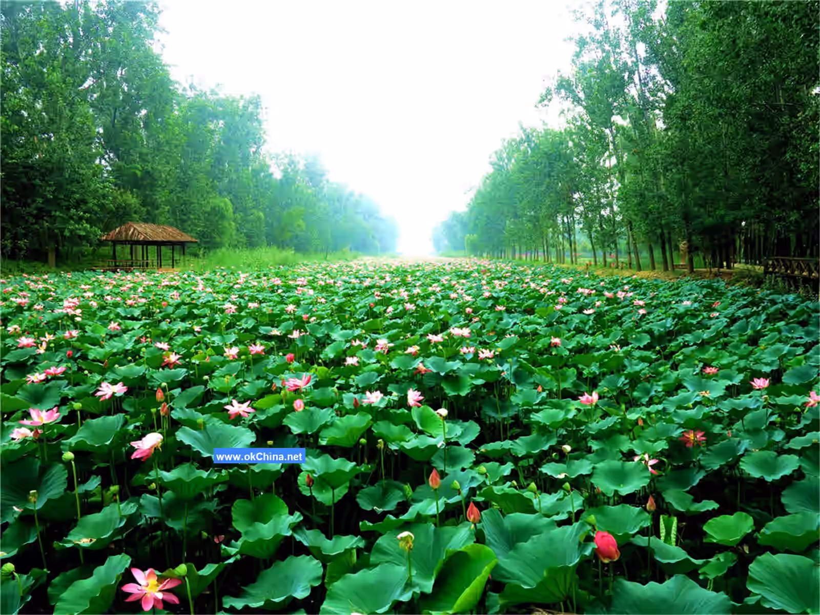 Weishan Lake Tourist Area