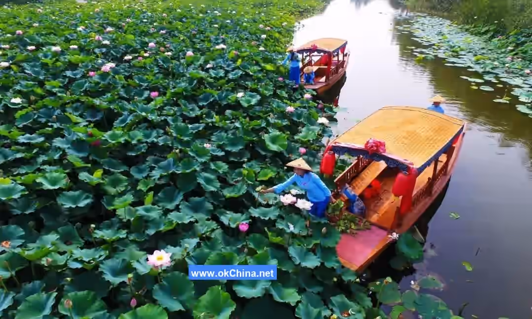 Weishan Lake Tourist Area