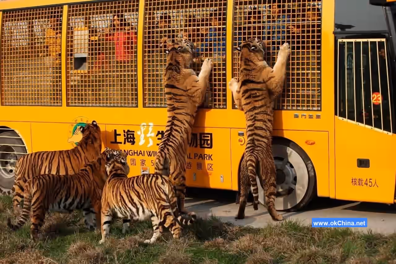 Shanghai Wild Animal Park