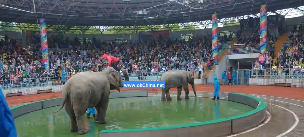 Shanghai Wild Animal Park