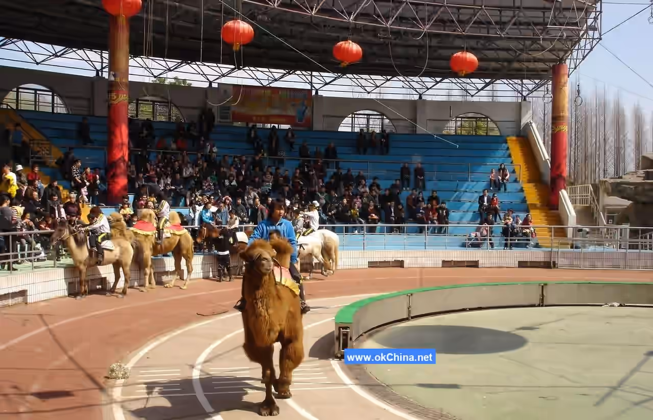 Shanghai Wild Animal Park