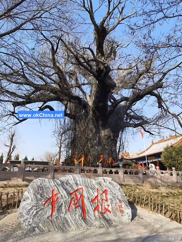Hongtong Dahuaishu Ancestral Shrine Scenic Area