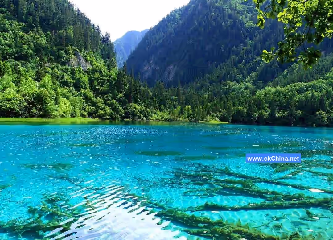 Jiuzhaigou Scenic Area