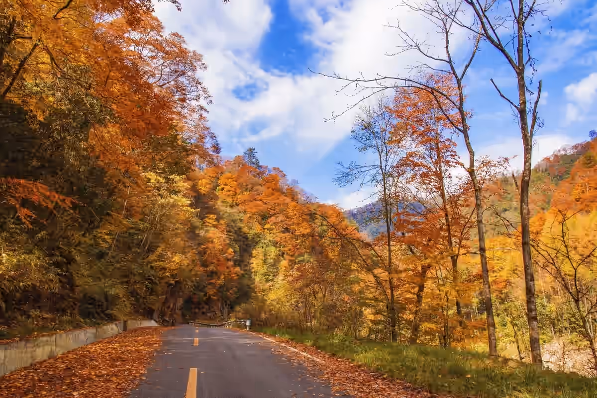 Guangwushan Tourist Area