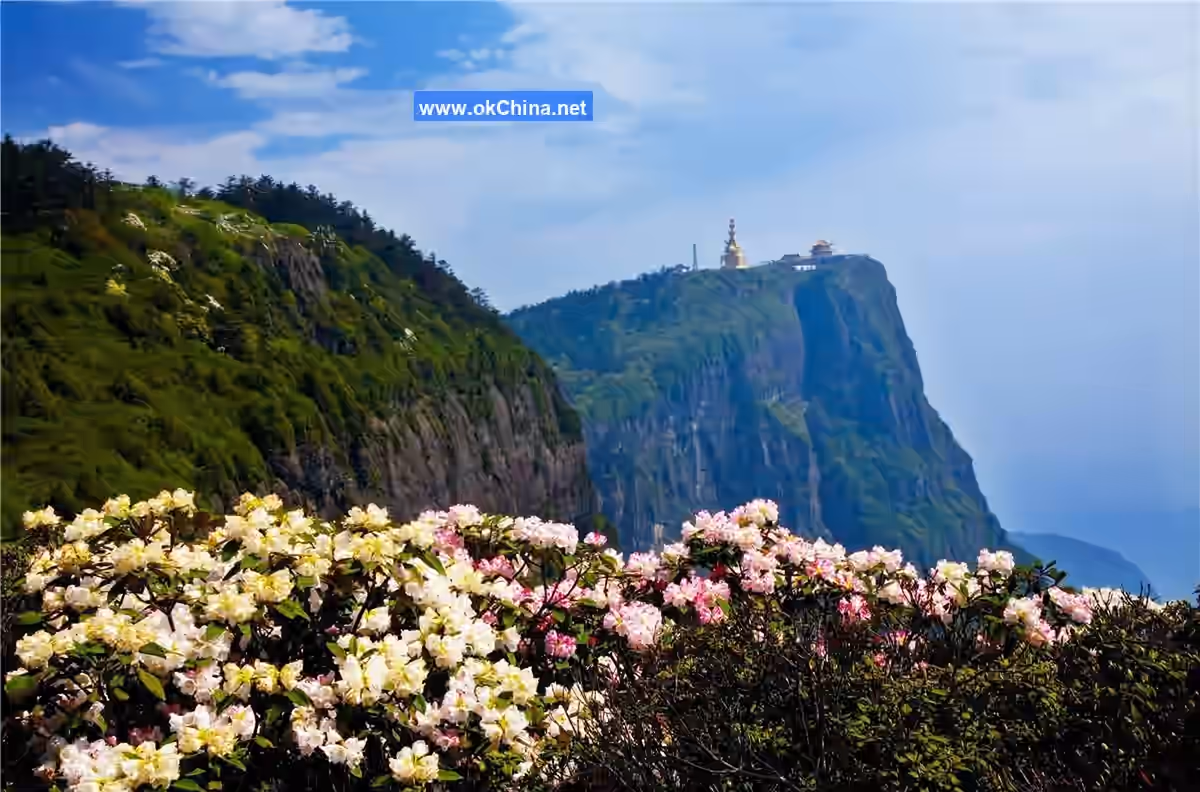Mount Emei Scenic Area