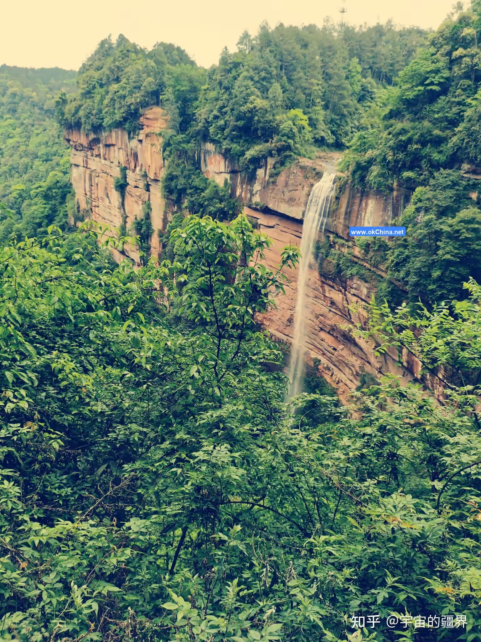 Bifengxia Tourist Area