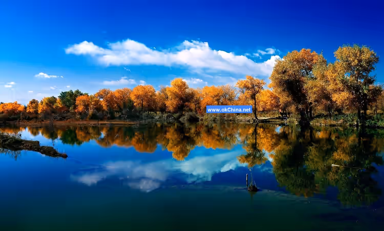 Zepu Populus Euphratica National Forest Park