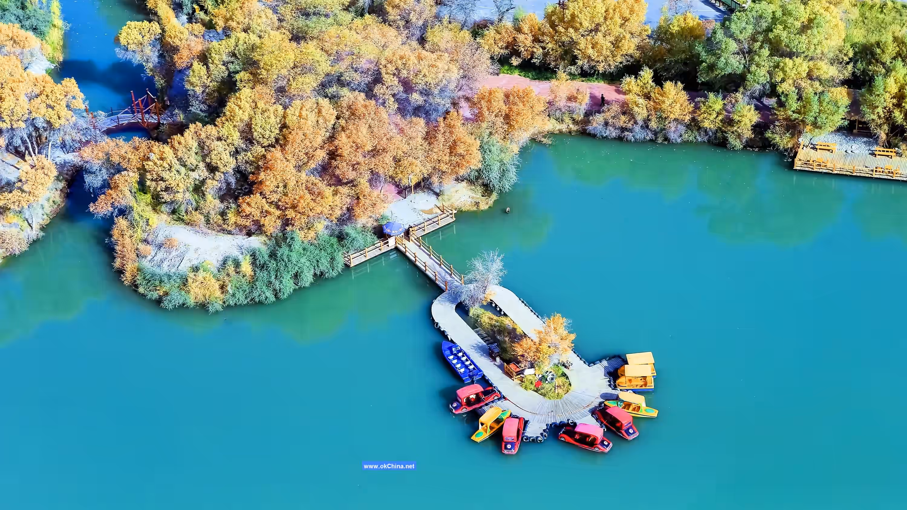 Zepu Populus Euphratica National Forest Park