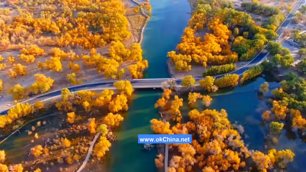 Zepu Populus Euphratica National Forest Park