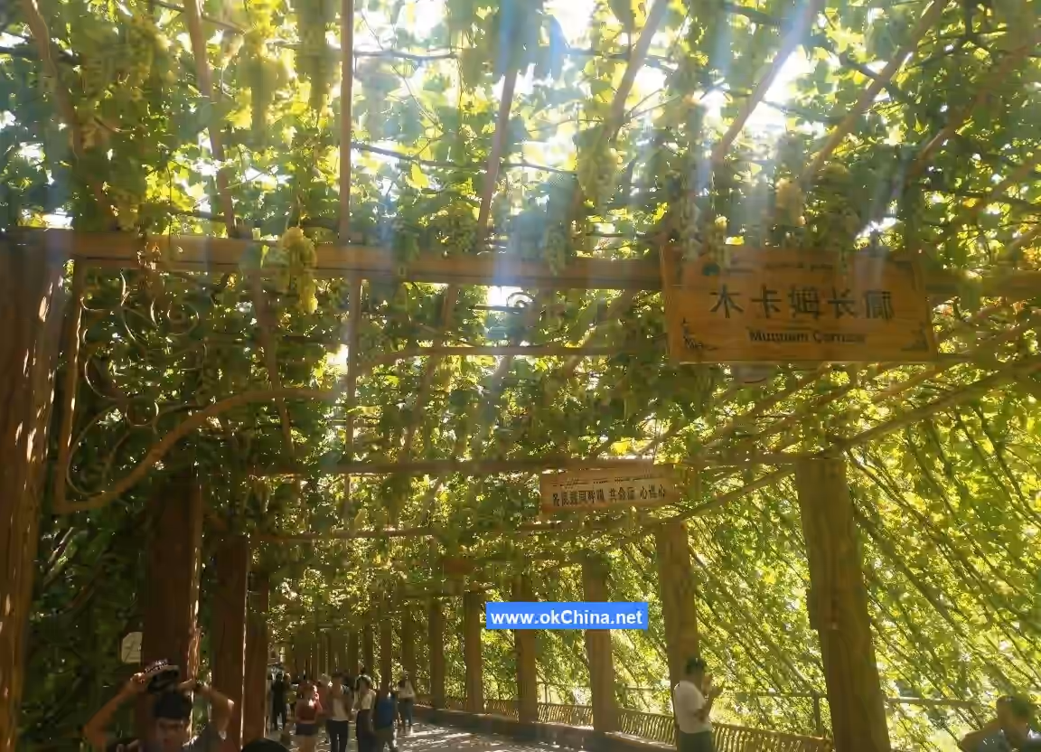 Grape Valley Scenic Area