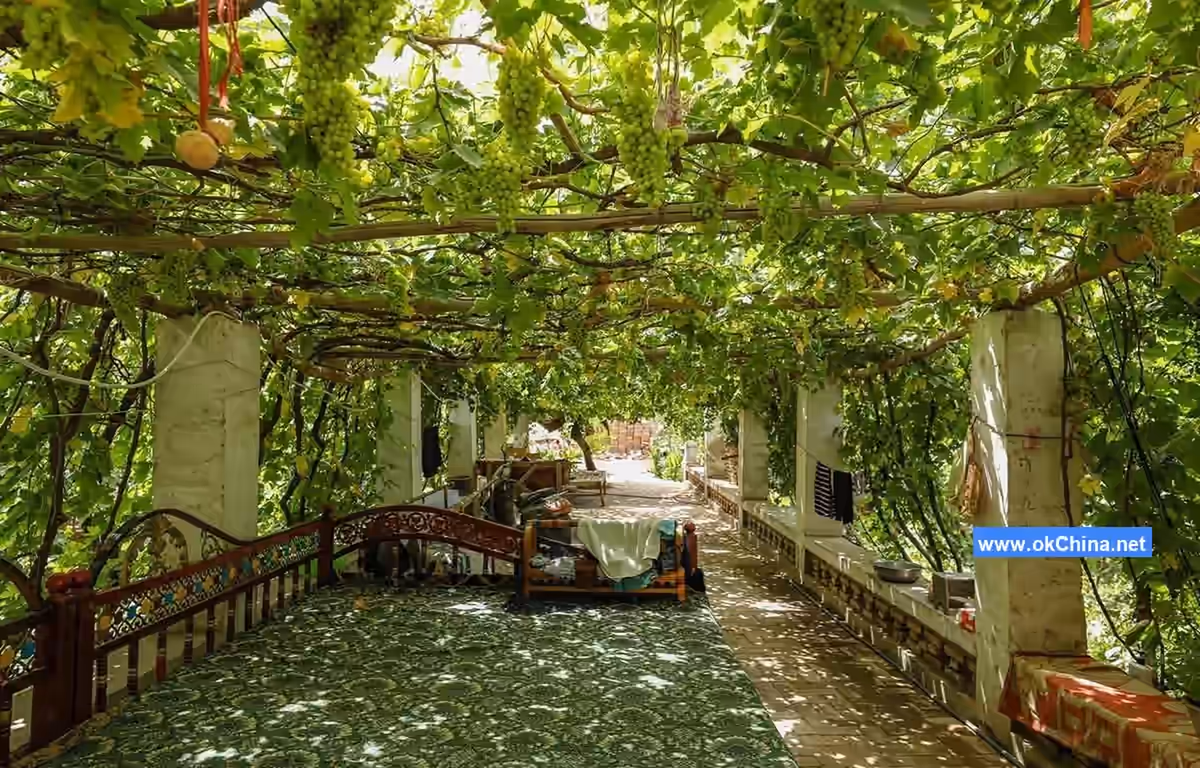 Grape Valley Scenic Area