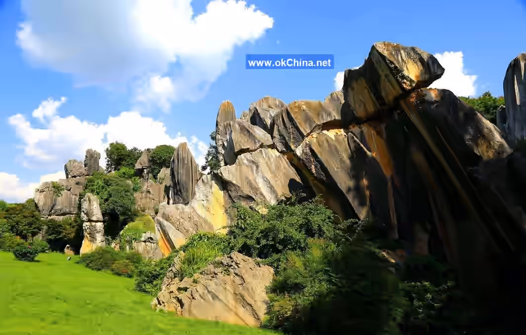 Stone Forest Scenic Area