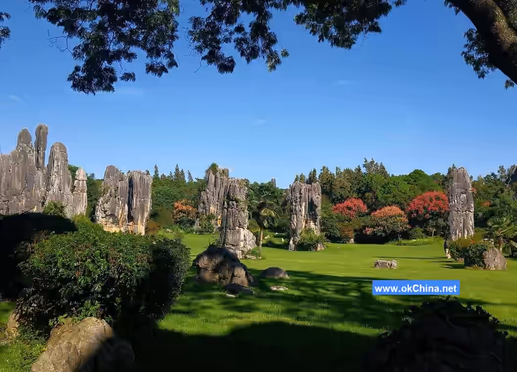 Stone Forest Scenic Area