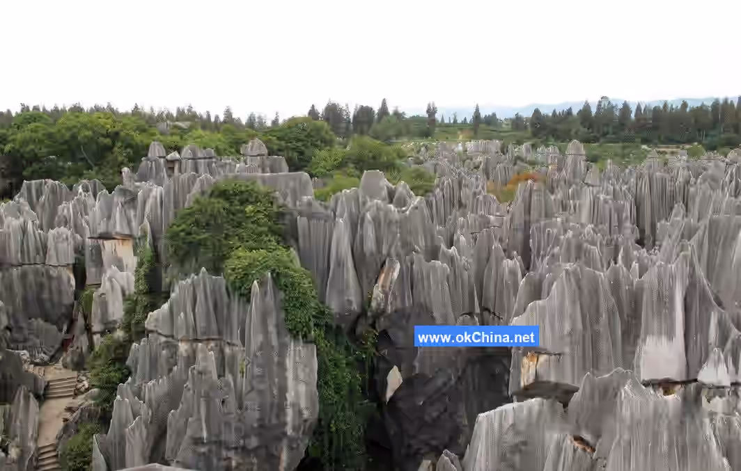 Stone Forest Scenic Area