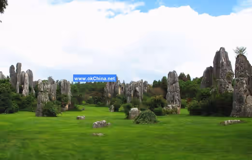 Stone Forest Scenic Area